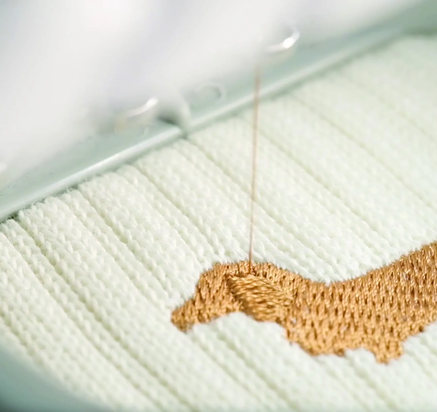 Close-up of a golden dachshund being embroidered on white rib knit, the needle and thread still in place